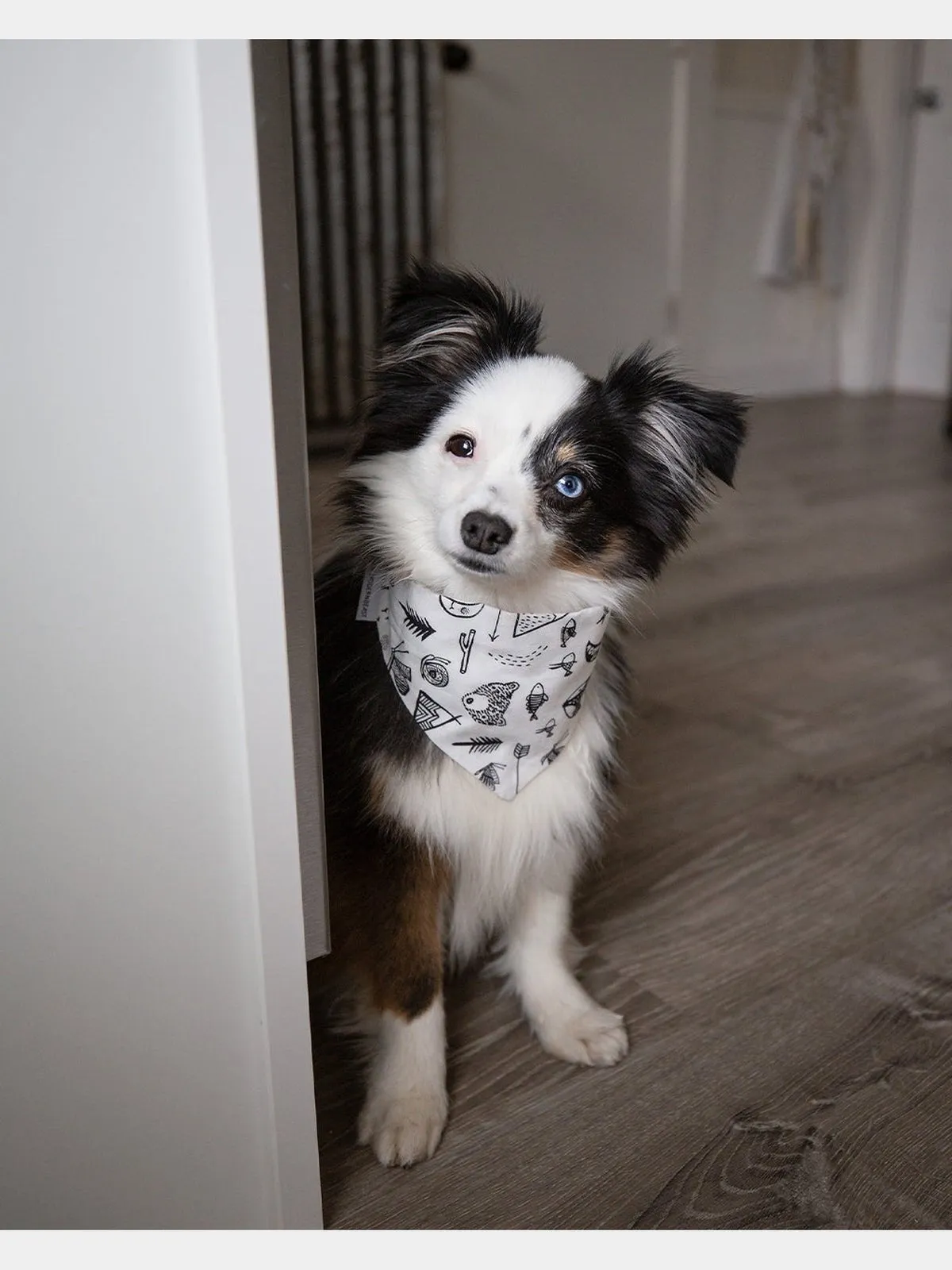 ADVENTURE BANDANA