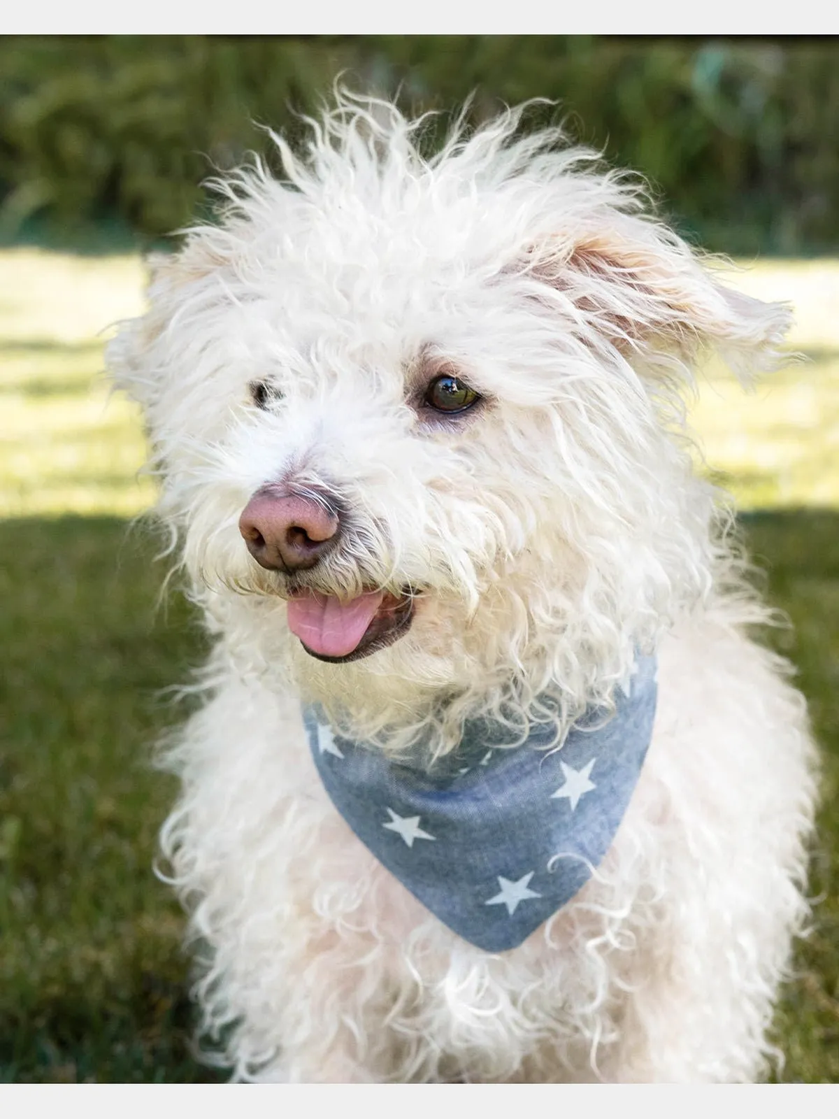 ADVENTURE BANDANA