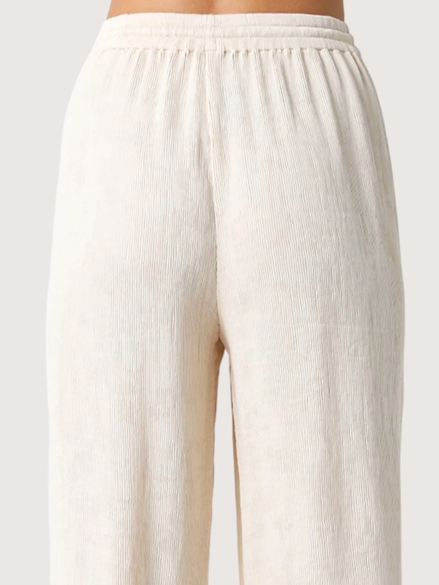 Beige Textured Pant