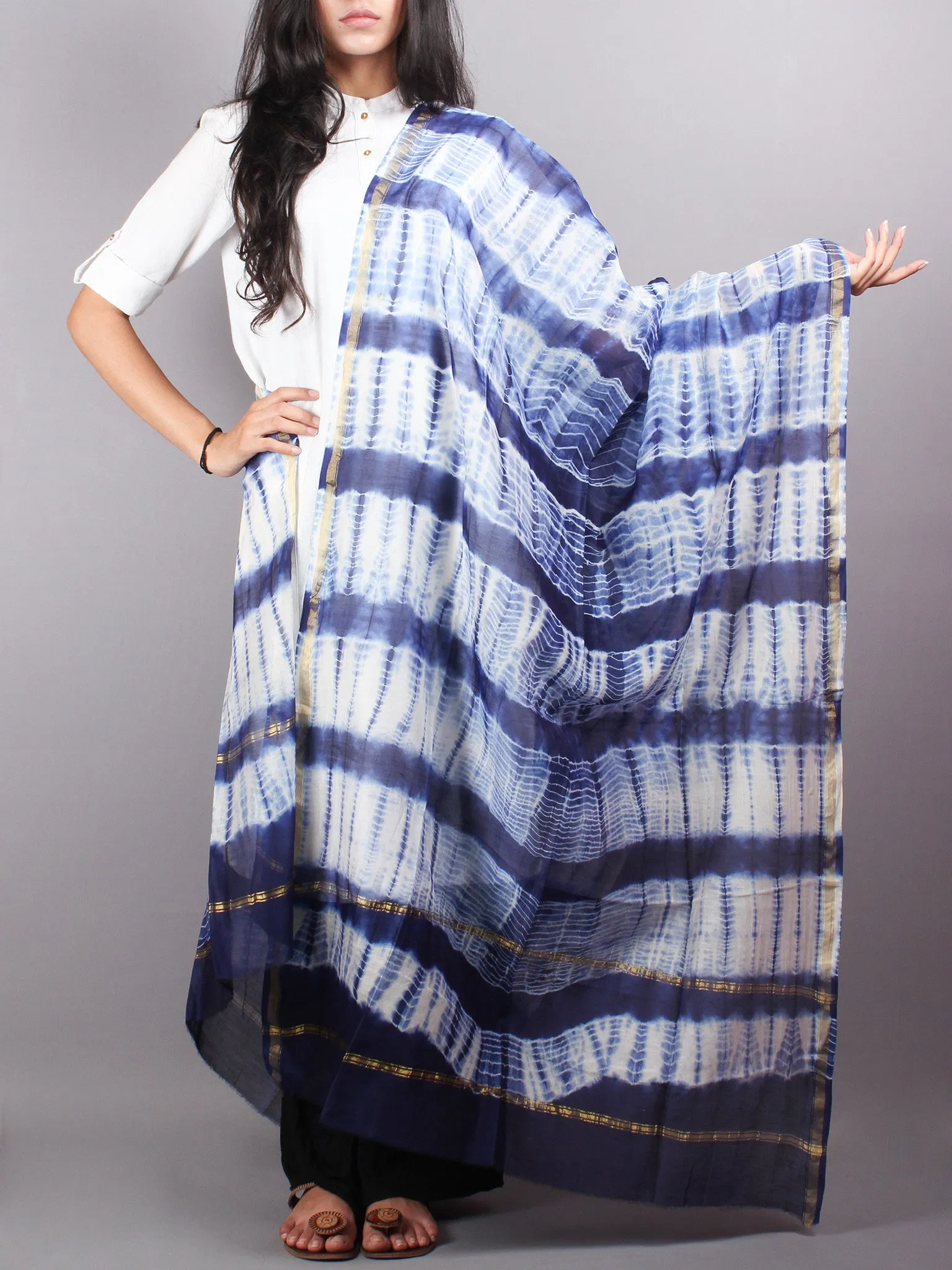 Indigo White Chanderi Shibori Dyed in Natural Colors Dupatta- D0417051