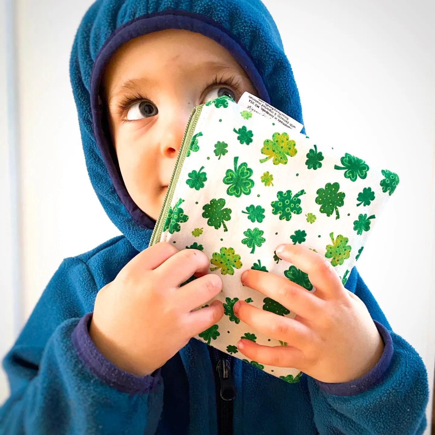 Toddler Sized Reusable Zippered Bag Anchors